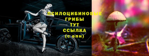 стаф Абаза