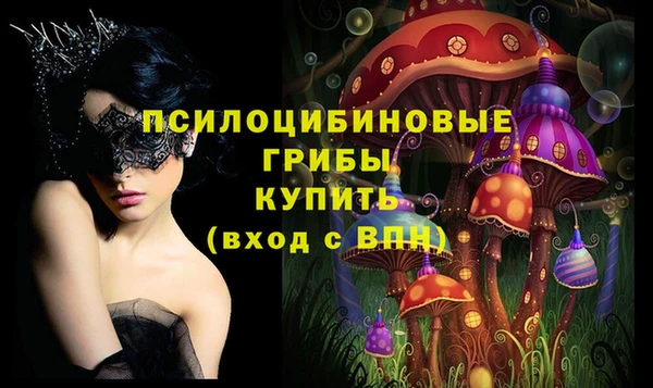apvp Алексин
