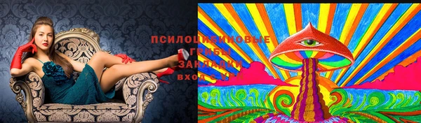 мяу мяу мука Абдулино